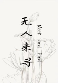 无贼